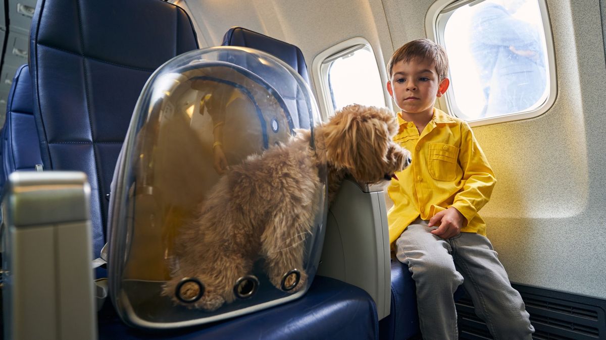 Raději pes než dítě, shodují se na sousedovi v letadle pasažéři